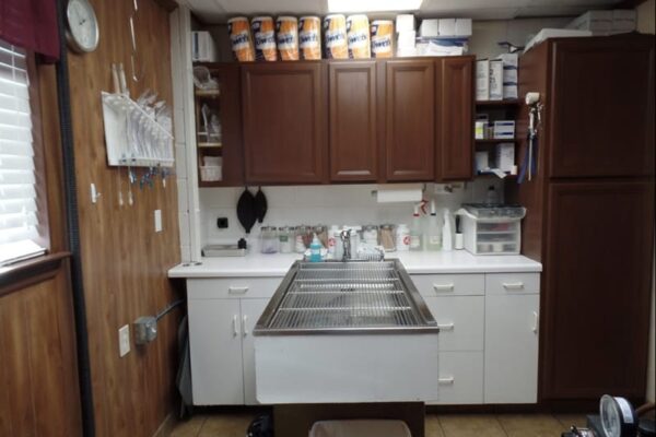 A exam and treatment room. Pictured is the exam table, and storage cabinets