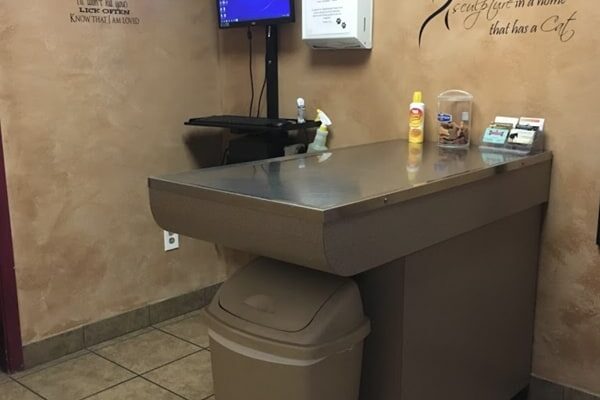 Exam room for cats. Pictured is the exam table, and computer