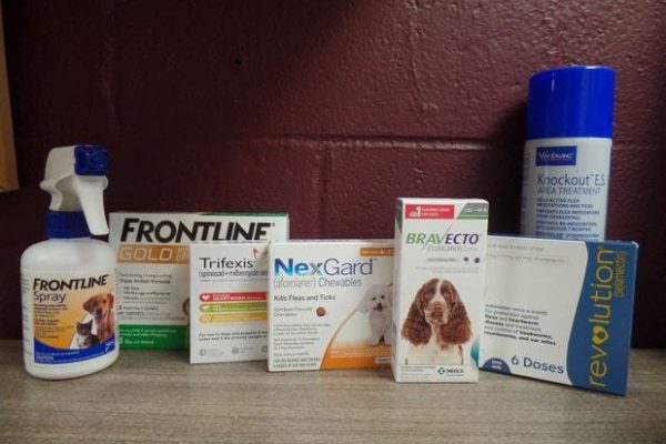 Flea and sick prevention medications