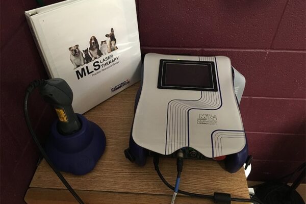 Laser Therapy Machine 2019