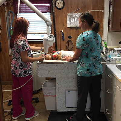 Dental X-ray with staff 1