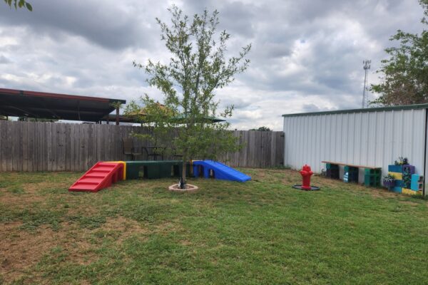 Puppy Playground yard_2022 (4)