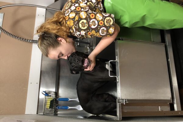 25a - Nadalee and Chloe (2)