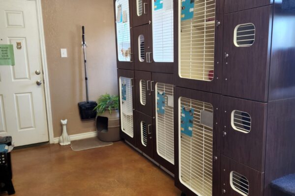 32 -Cat Condo's and Suites