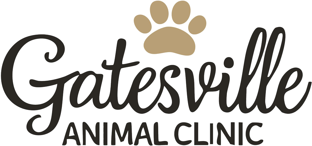 Gatesville Animal Clinic